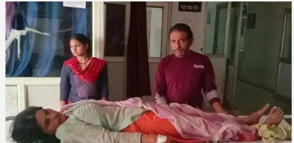 महिला पर किया हाथी ने हमला,  बुरी तरह हुई घायल, भर्ती,,।